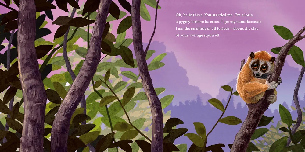 Hello, I'm a Loris (Meet the Wild Things, Book 6) preview
