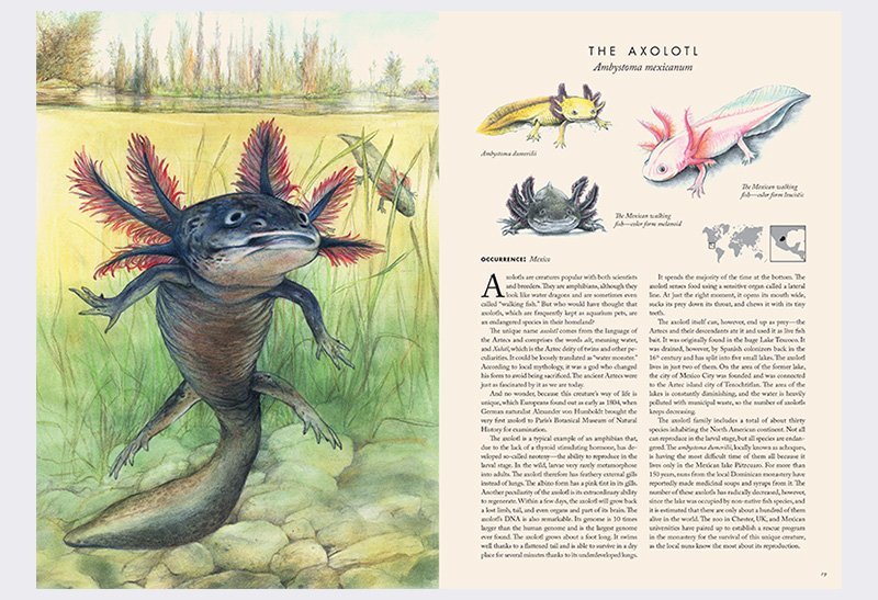 Atlas of Endangered Animals preview