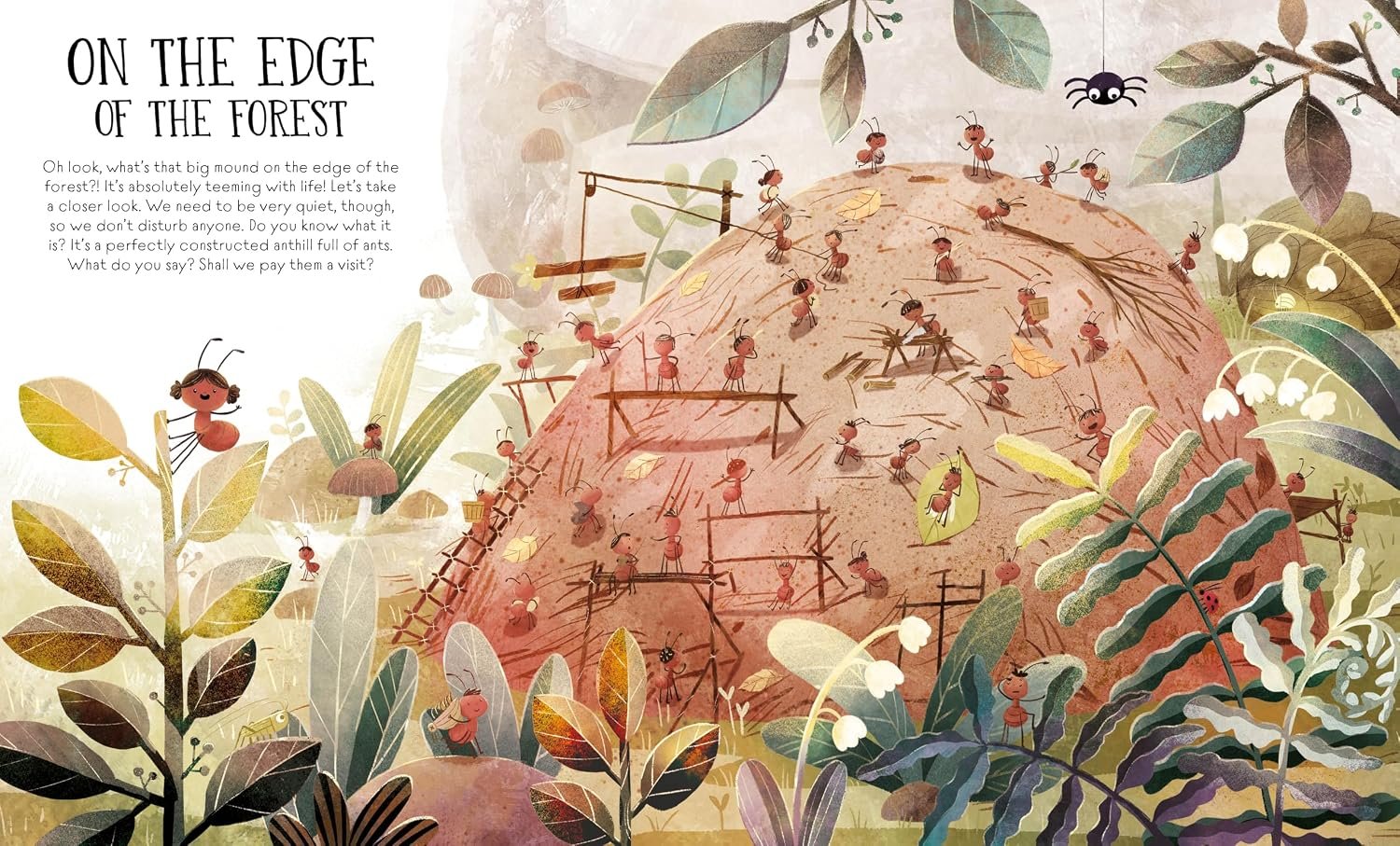 Welcome to the Anthill preview