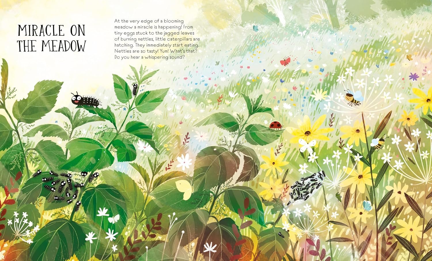 How to Become a Butterfly preview