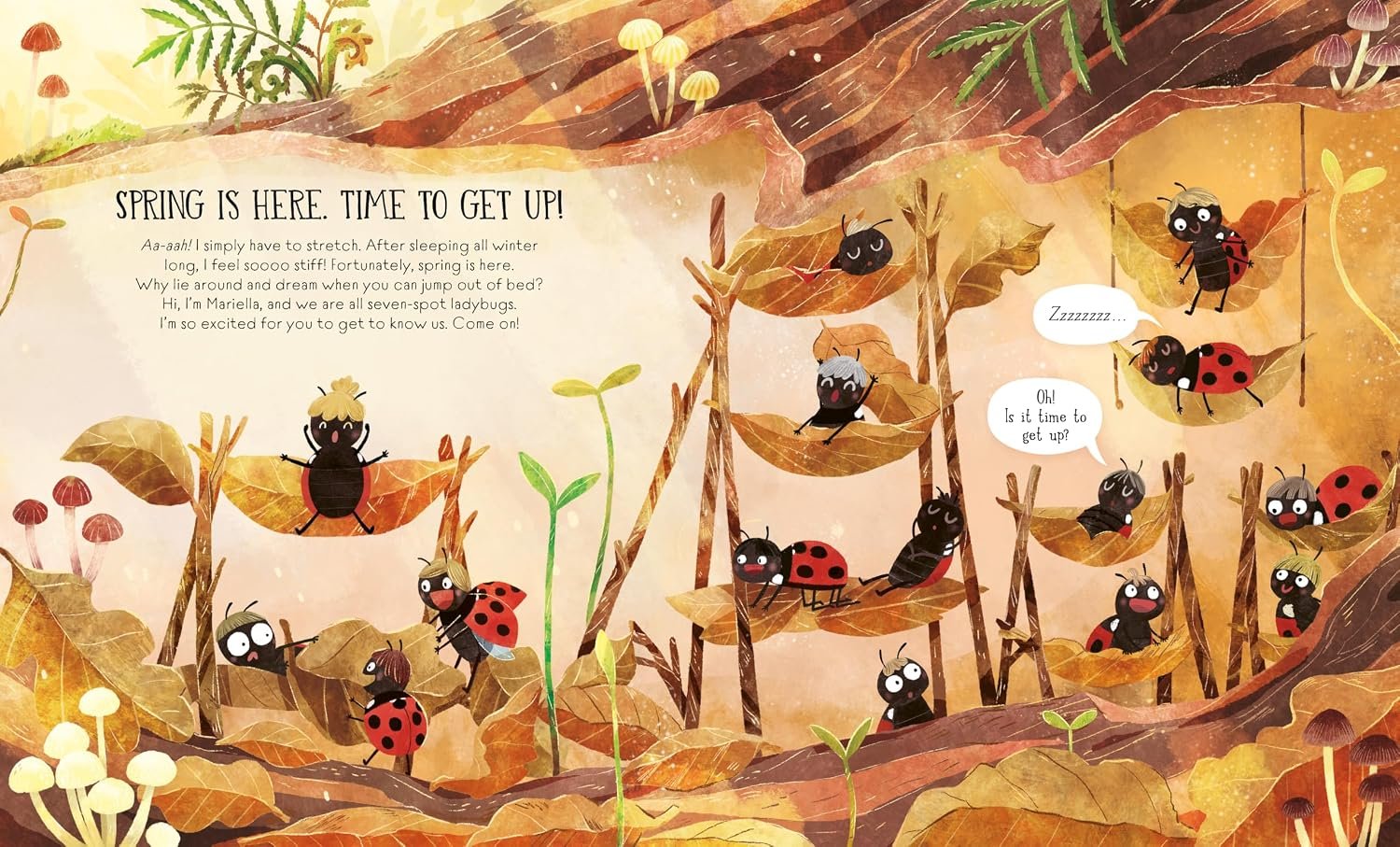 Growing Up Ladybug preview