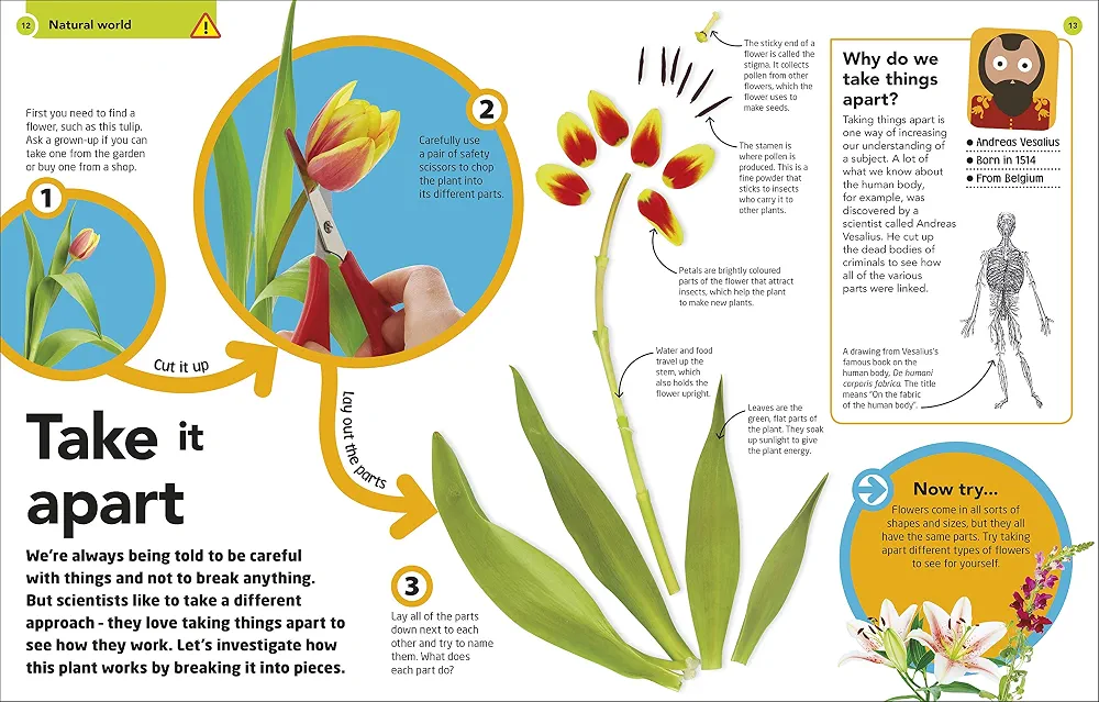 How to be a Scientist preview
