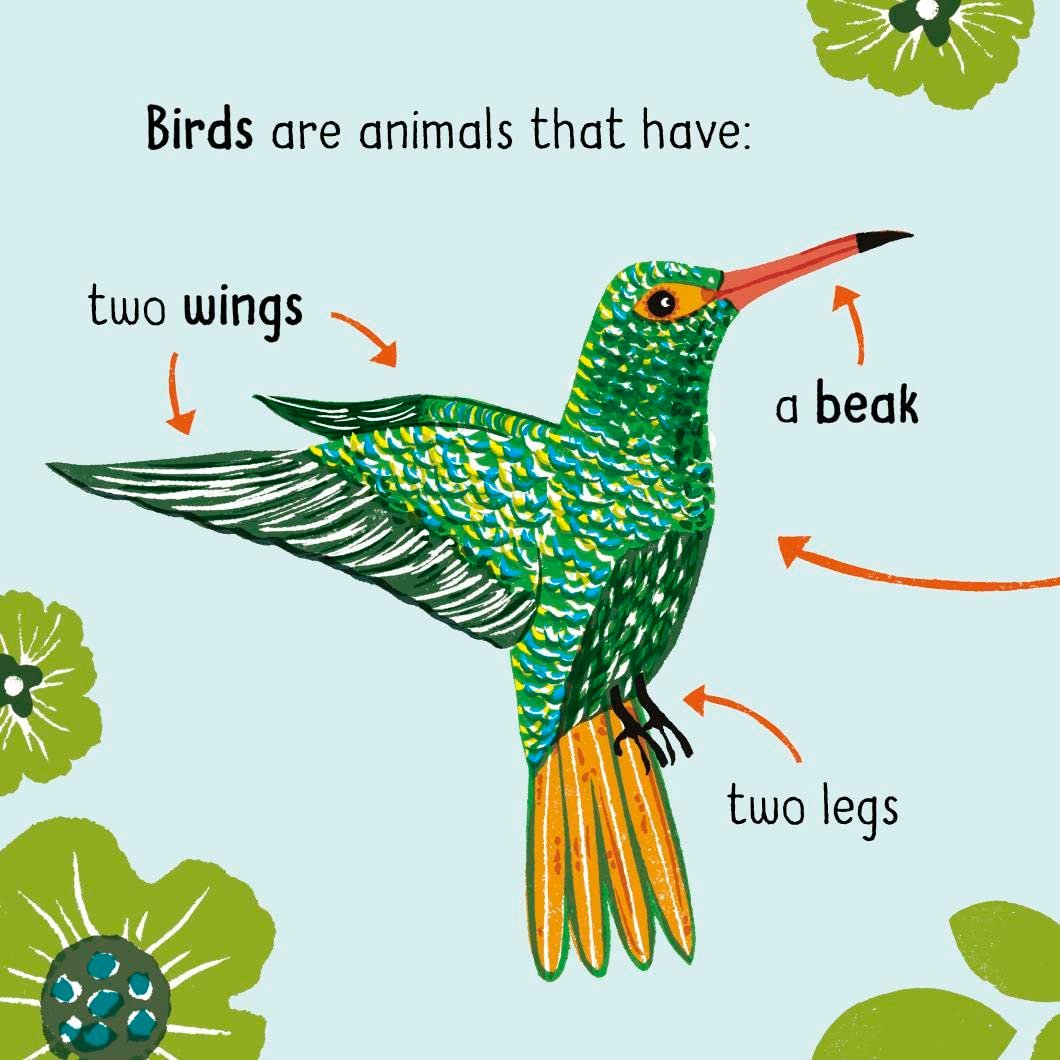 50 Words on Nature: Animals preview