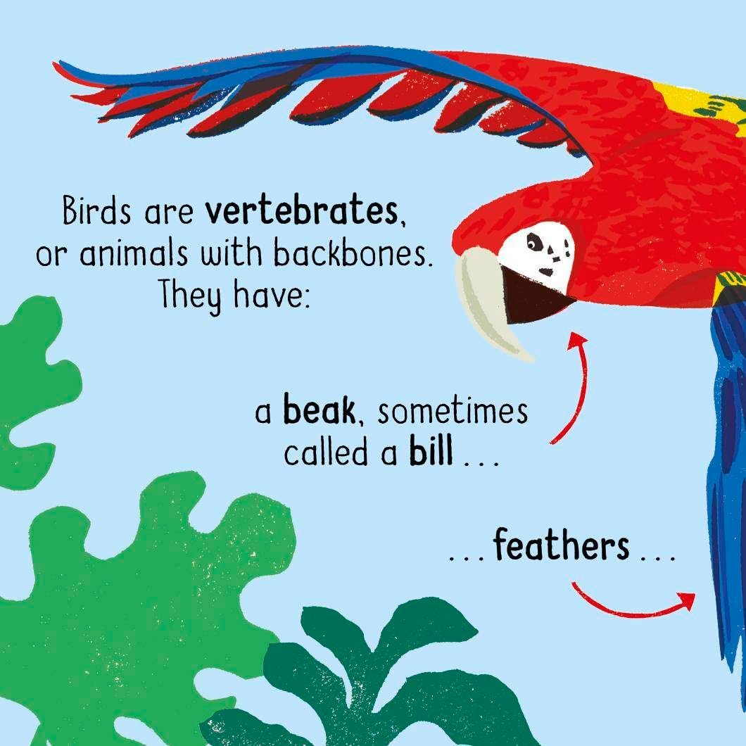 50 Words about Nature: Birds preview