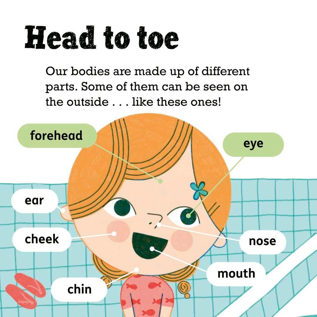 Science Words for Little People: Our Bodies preview