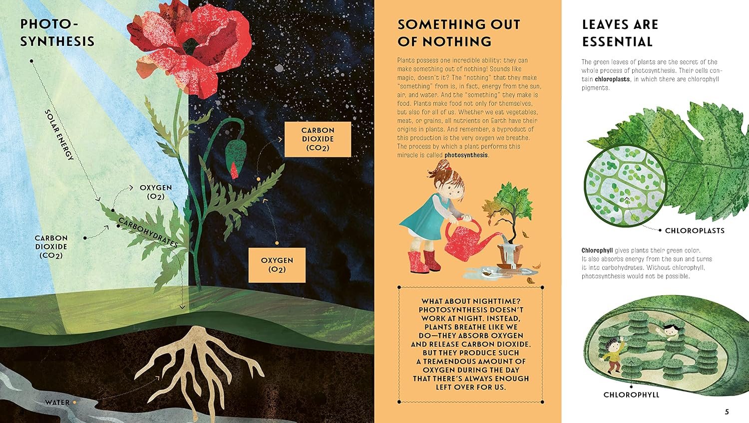Language of Plants preview