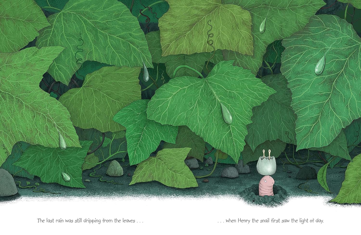 Henry the Snail preview