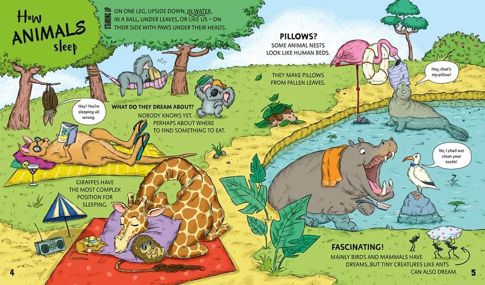 Do Sheep Count Sheep? How Animals Sleep preview