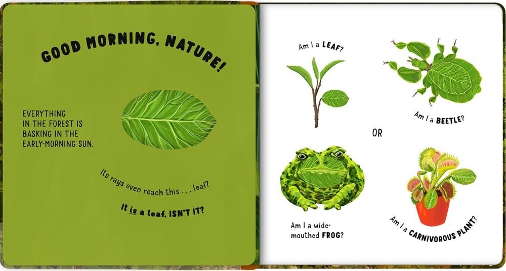 Hide and Seek in Nature: Guess What It Is? preview