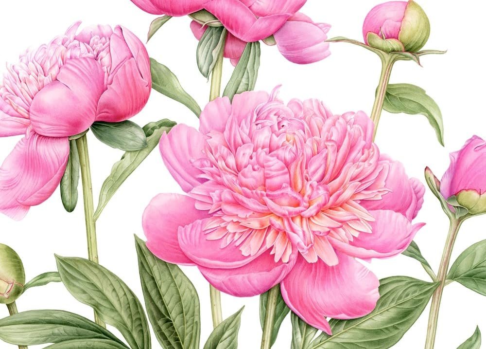 Souls of Flowers preview