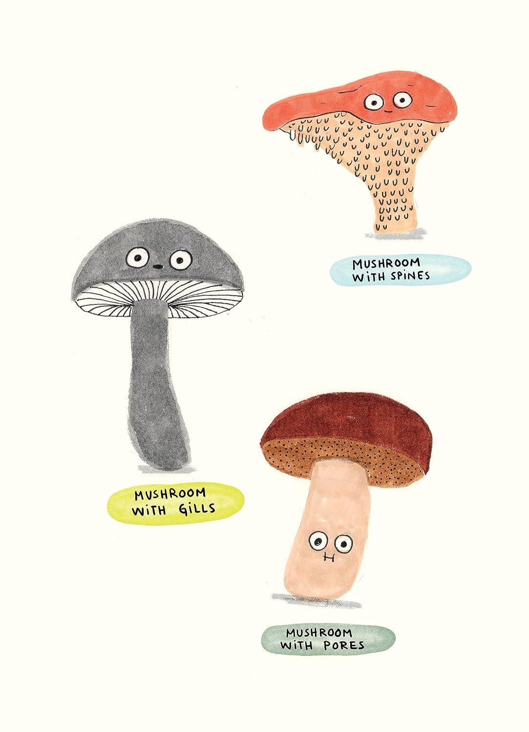 The Mushroom Fan Club preview