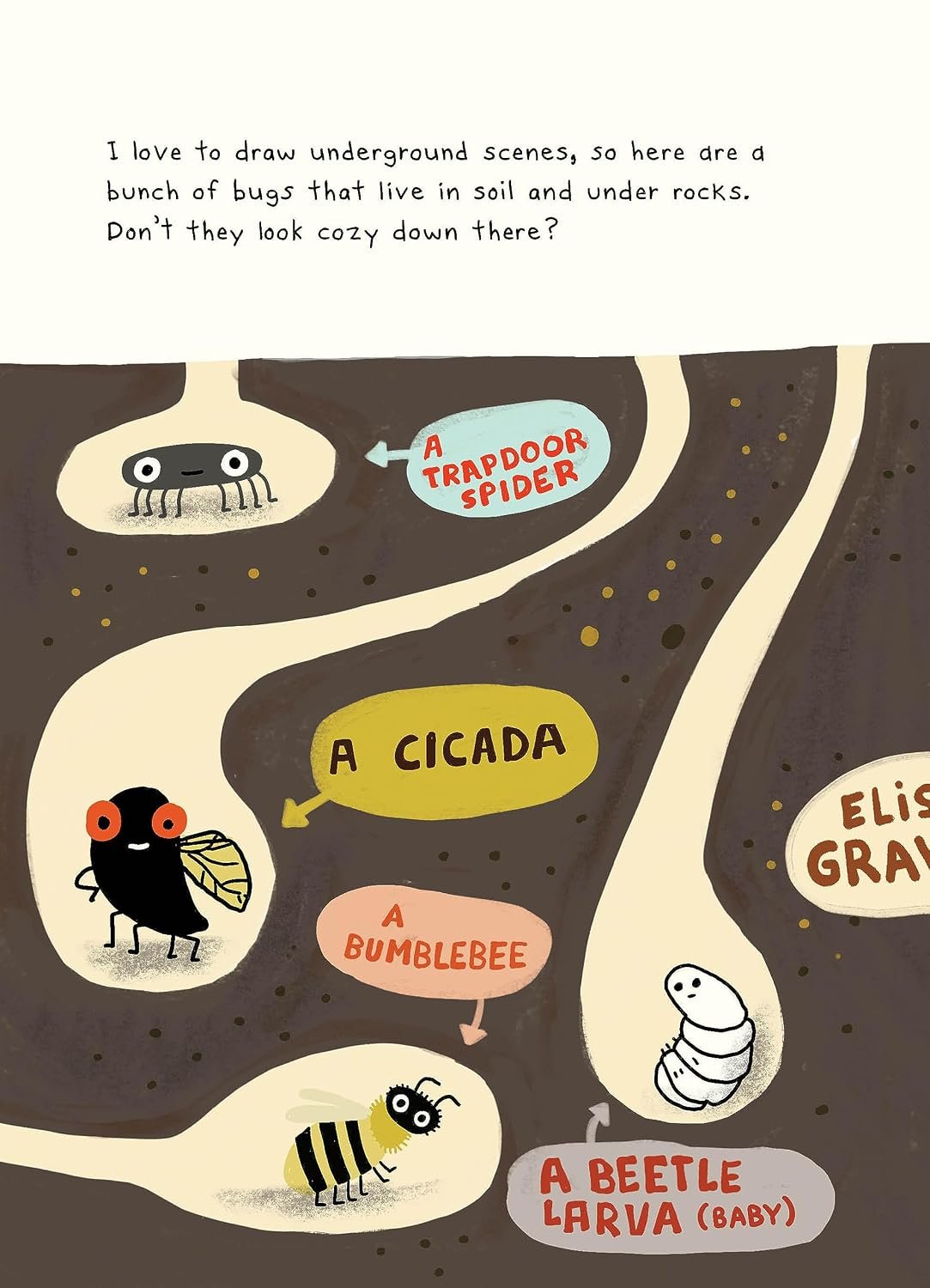 The Bug Club preview