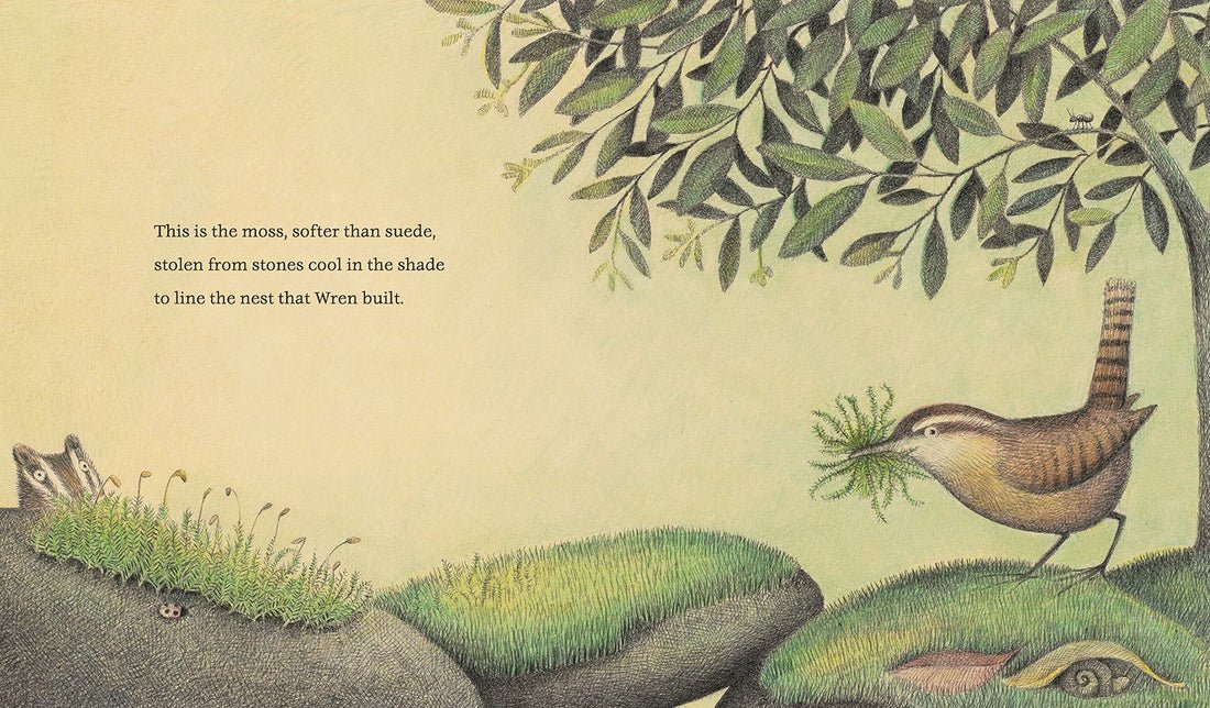 The Nest That Wren Built preview