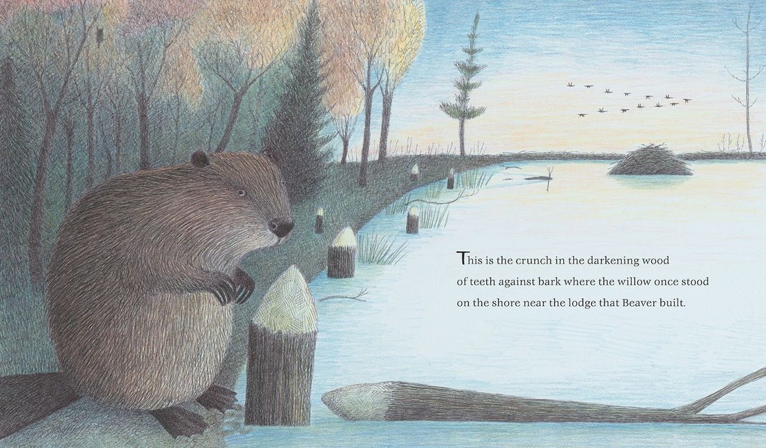 The Lodge That Beaver Built preview