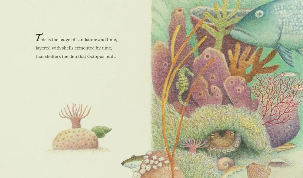 The Den That Octopus Built preview