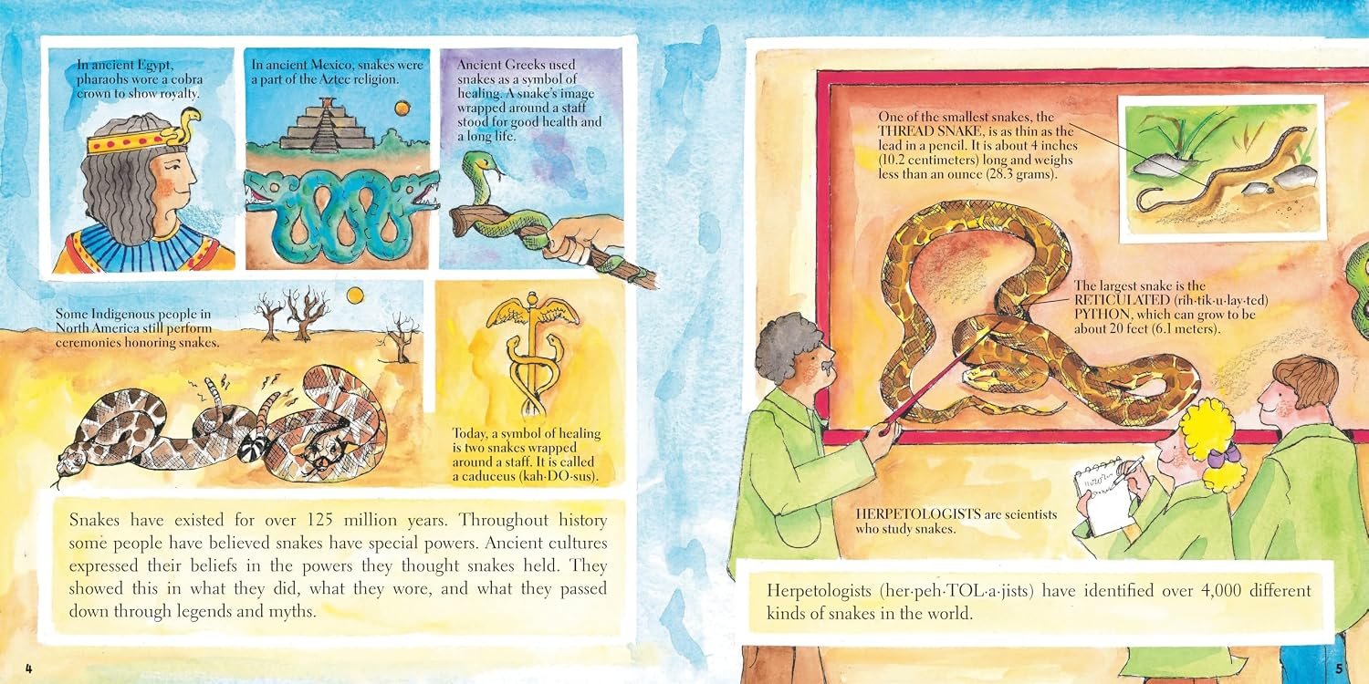 Snakes (New and Updated) preview