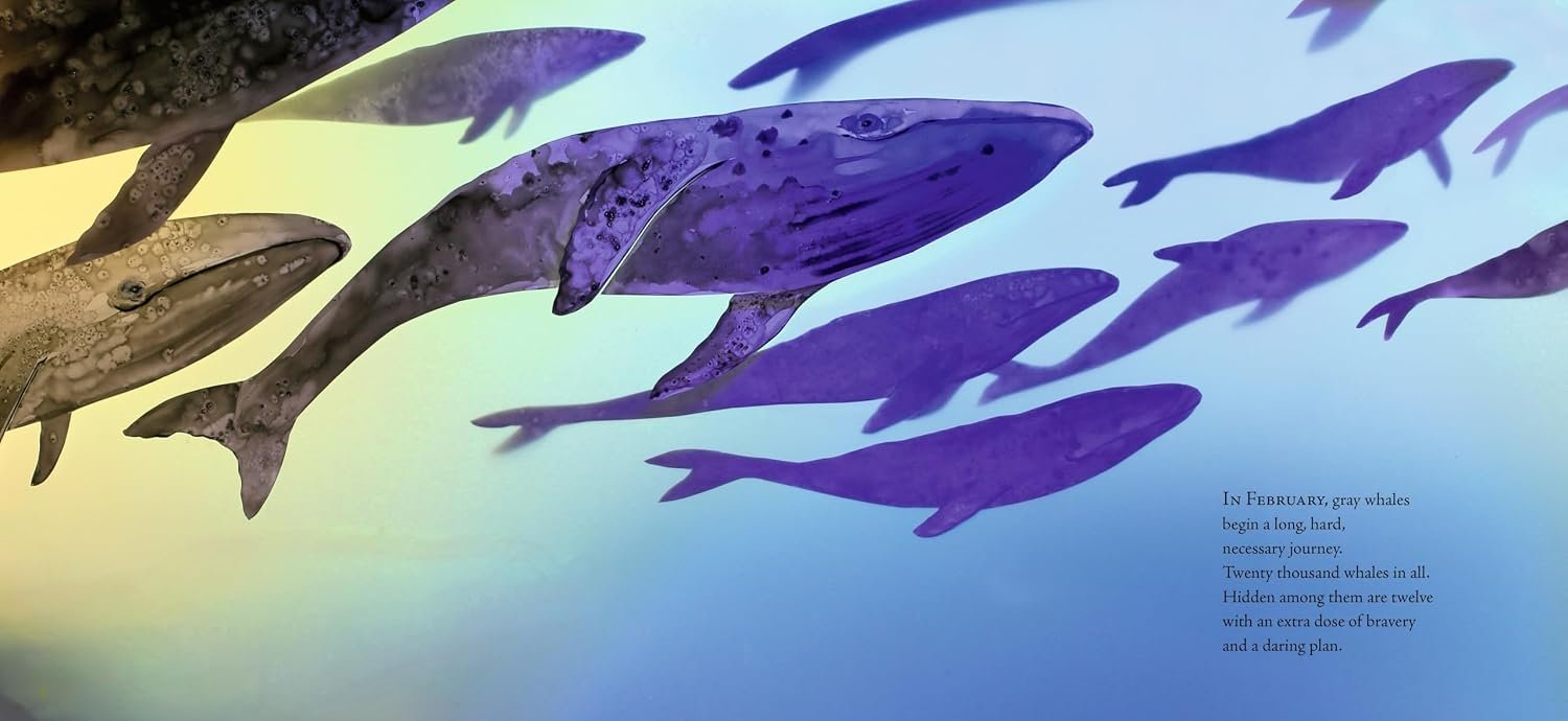 Twelve Daring Grays: A Whale Migration Adventure preview