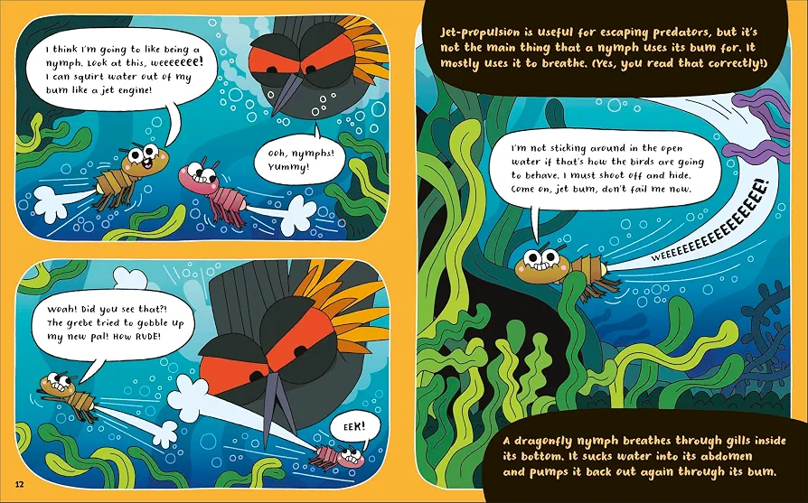 How to Be a Dragonfly (in Association with the Royal Entomological Society) preview