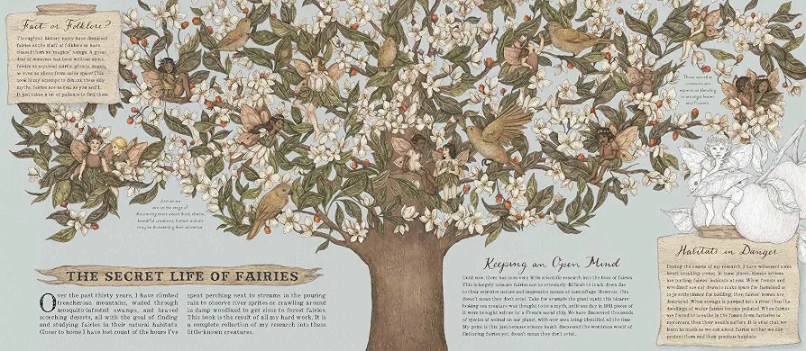 Natural History of Fairies preview