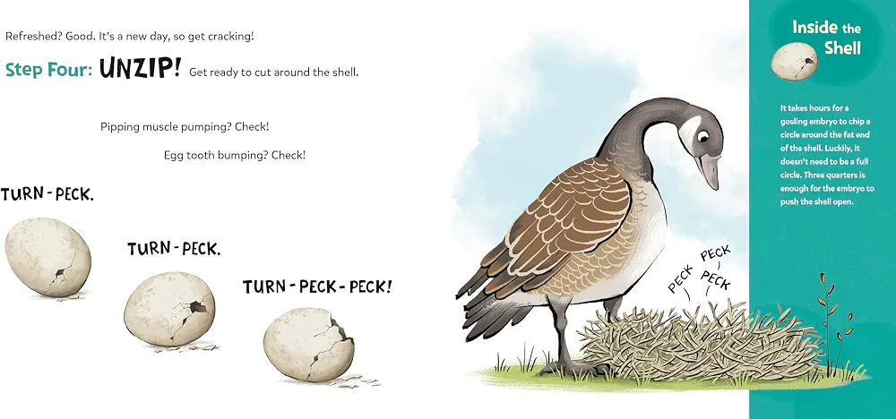 How to Hatch: A Gosling's Guide to Breaking Free preview