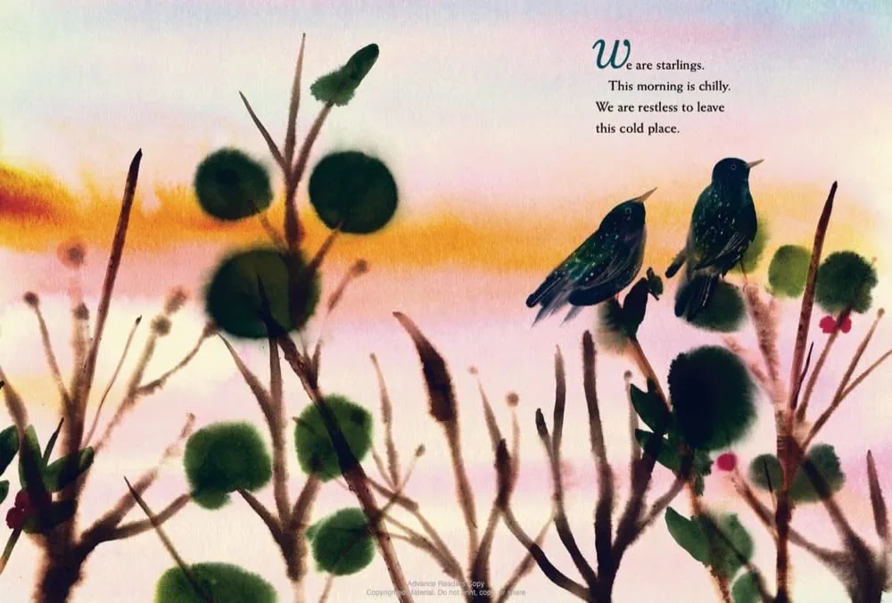 We Are Starlings preview