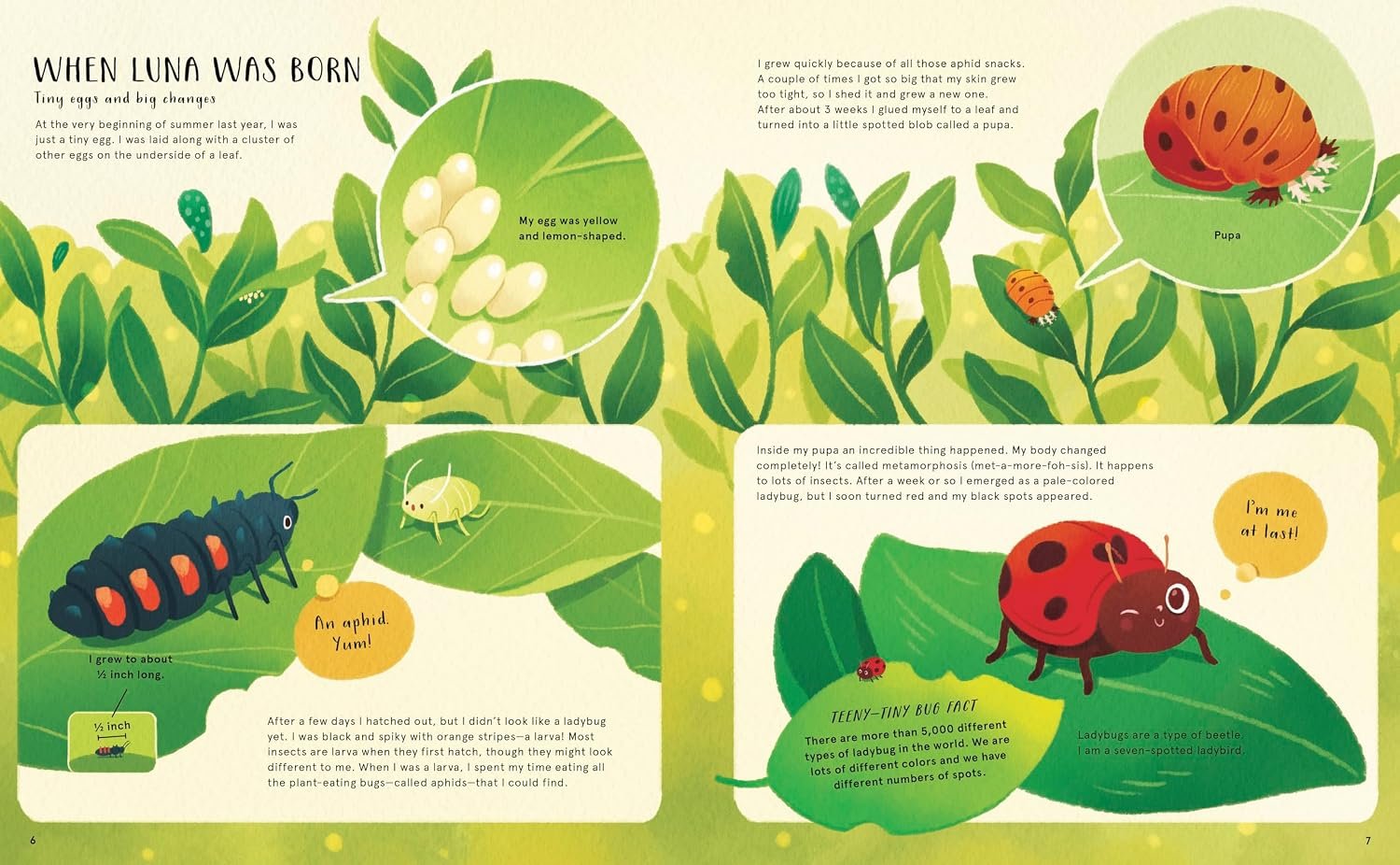 Secret Life of Bugs, Bees and Trees preview