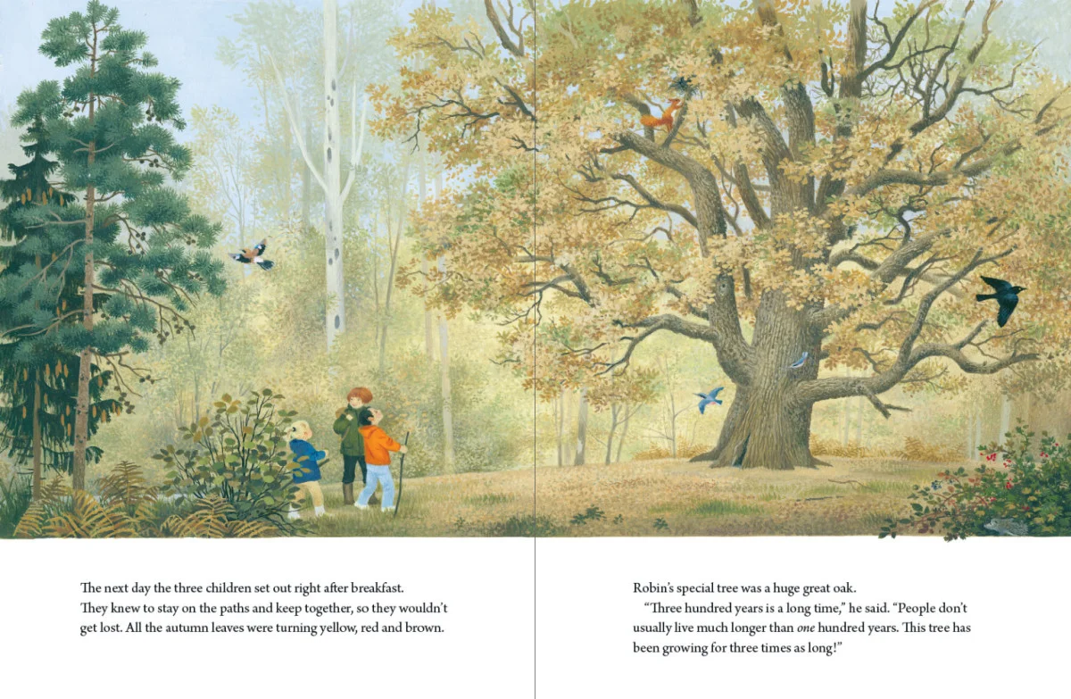 A Year Around the Great Oak preview