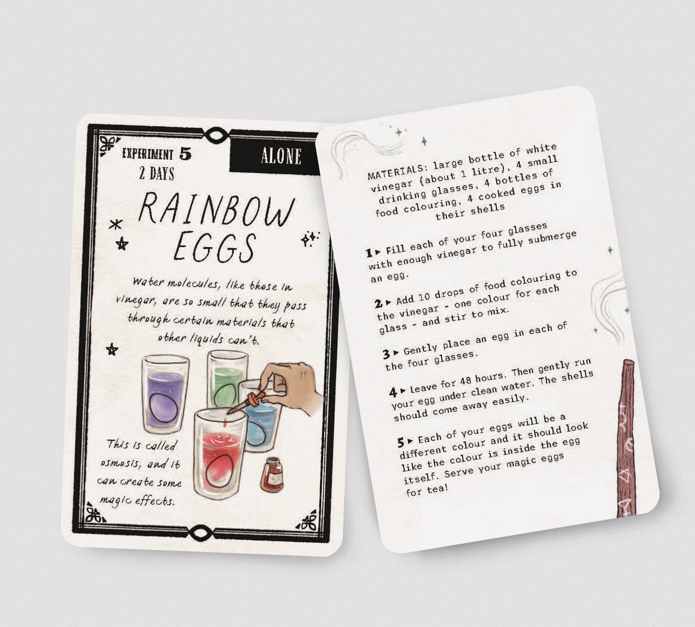 The Wizard's Box of Science Experiments: 25 magical activity cards preview