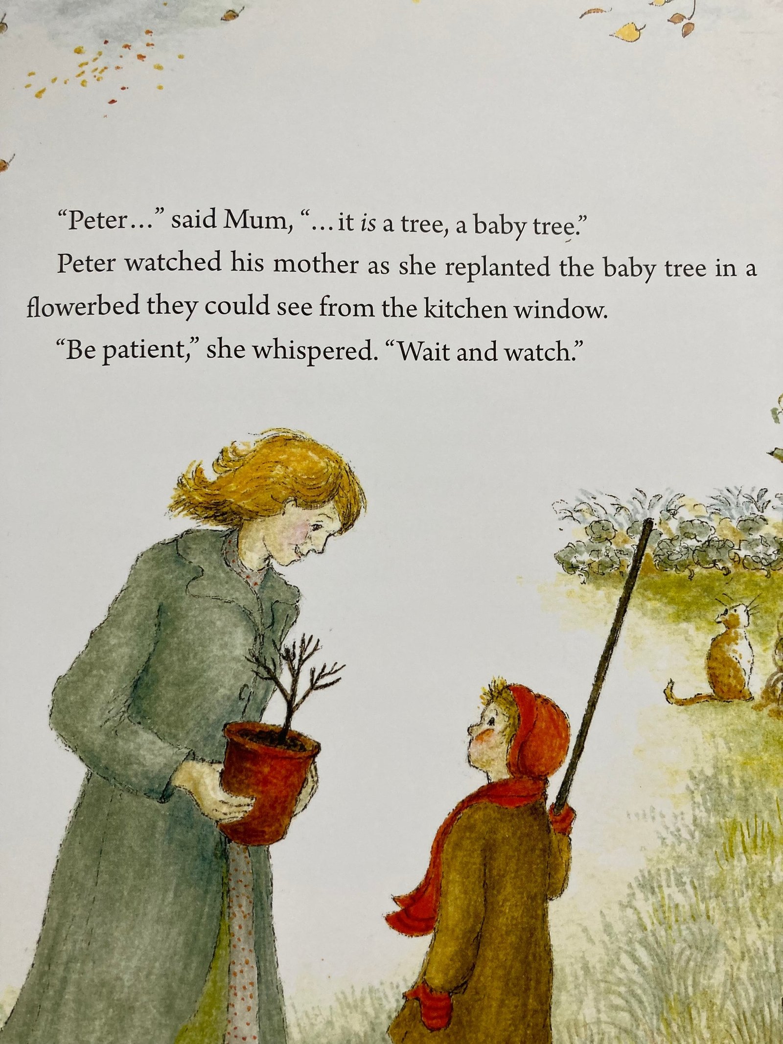 Peter's Tree preview