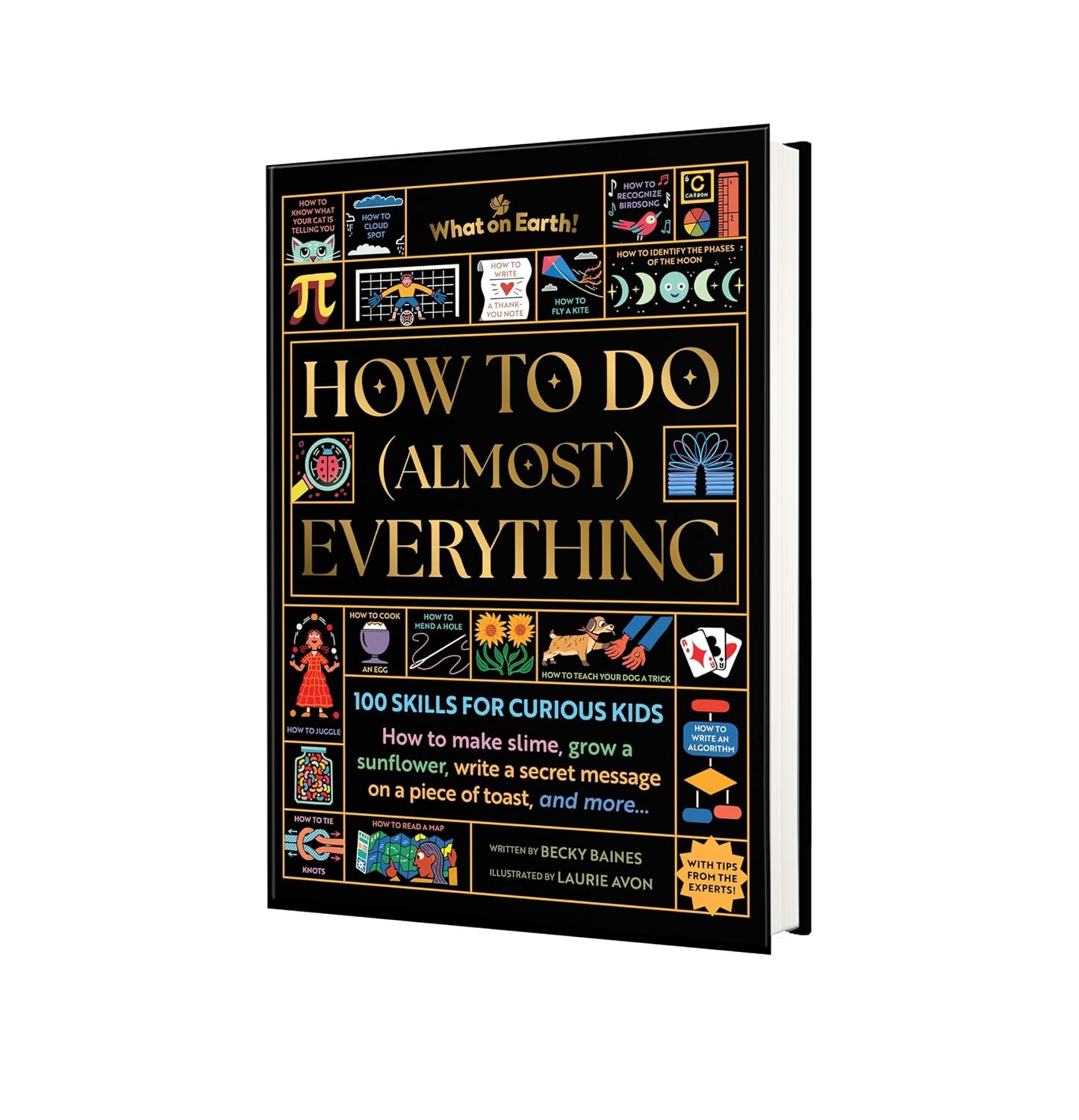 How to Do (Almost) Everything preview