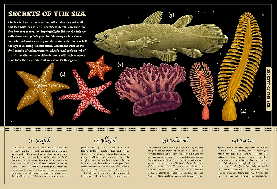 Secret History of Nature preview