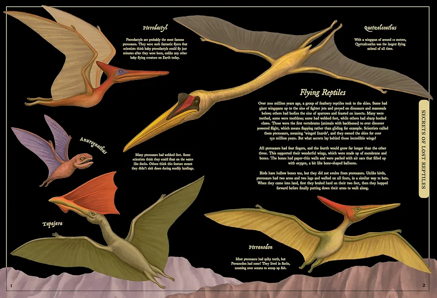 Secret Stories of Lost Beasts preview