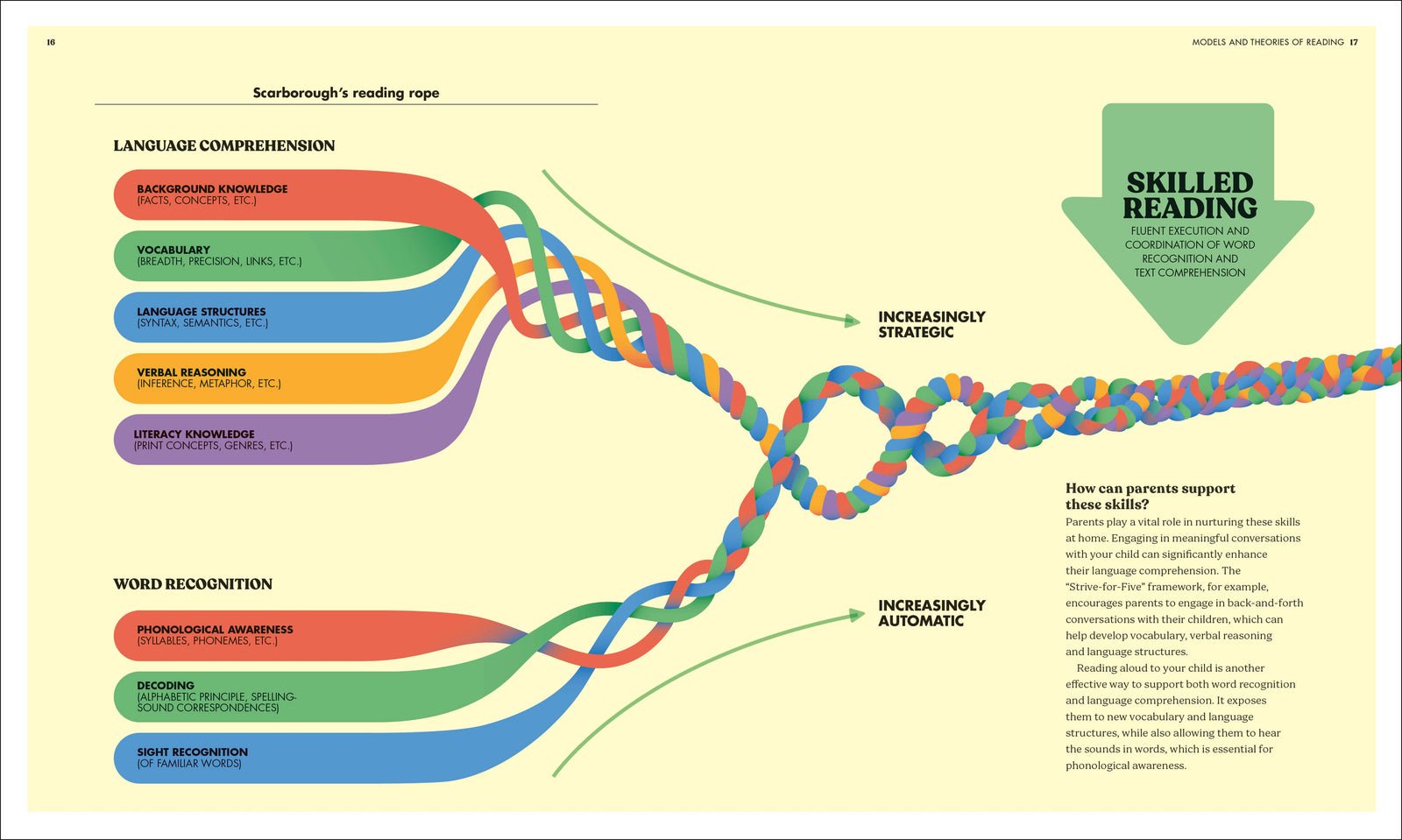 Science of Reading preview